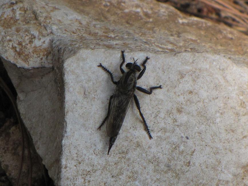 Help id